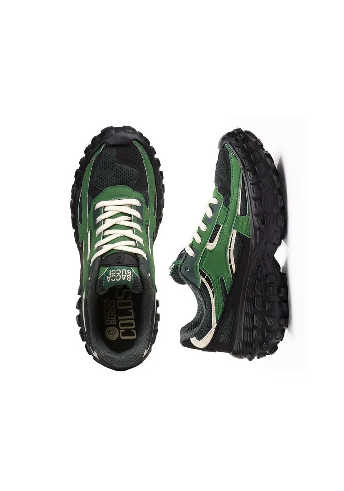 باكا بوتشي كولوسوس